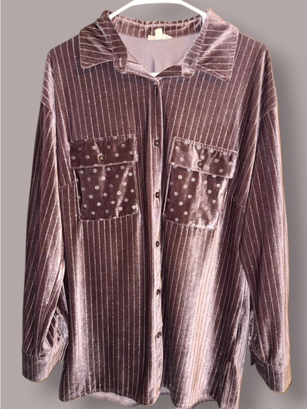 🌺Main Strip Velvet Brown/Silver Dots/Stripes Button Down Shirt